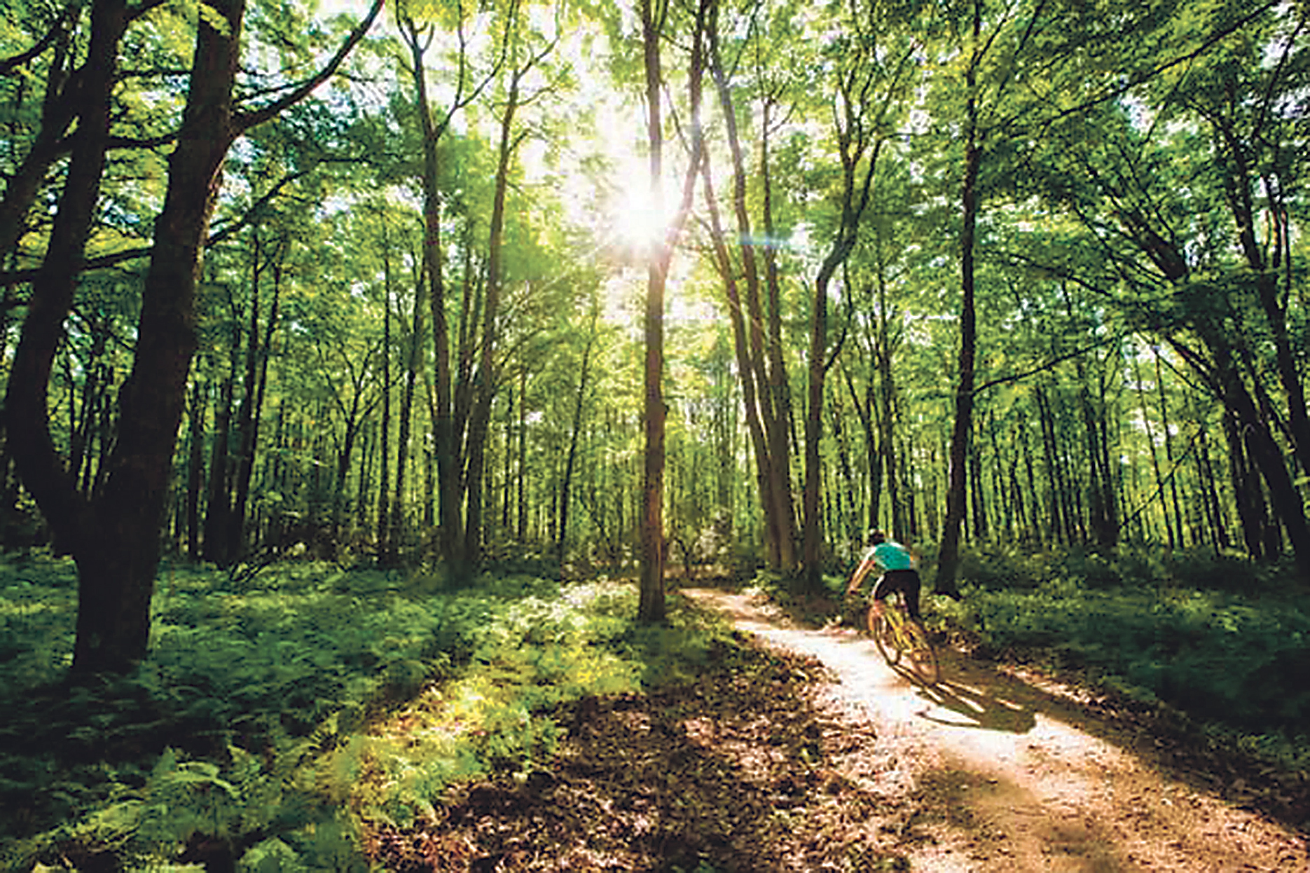 Jake's Rocks Trail Map ANF to consider e-bikes on Trails at Jakes Rocks | News, Sports, Jobs ...